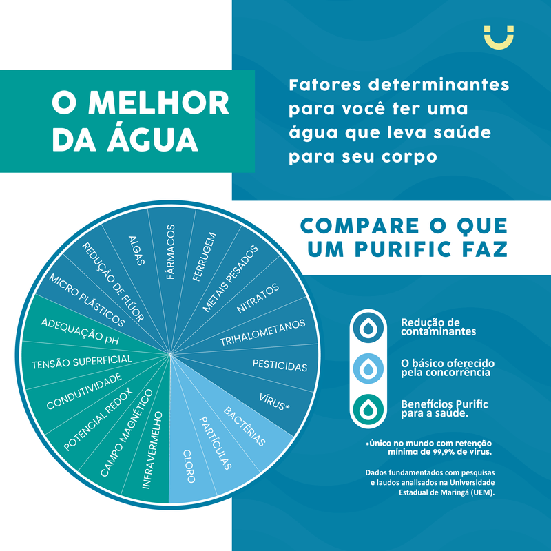 grafico-de-pizza-site-